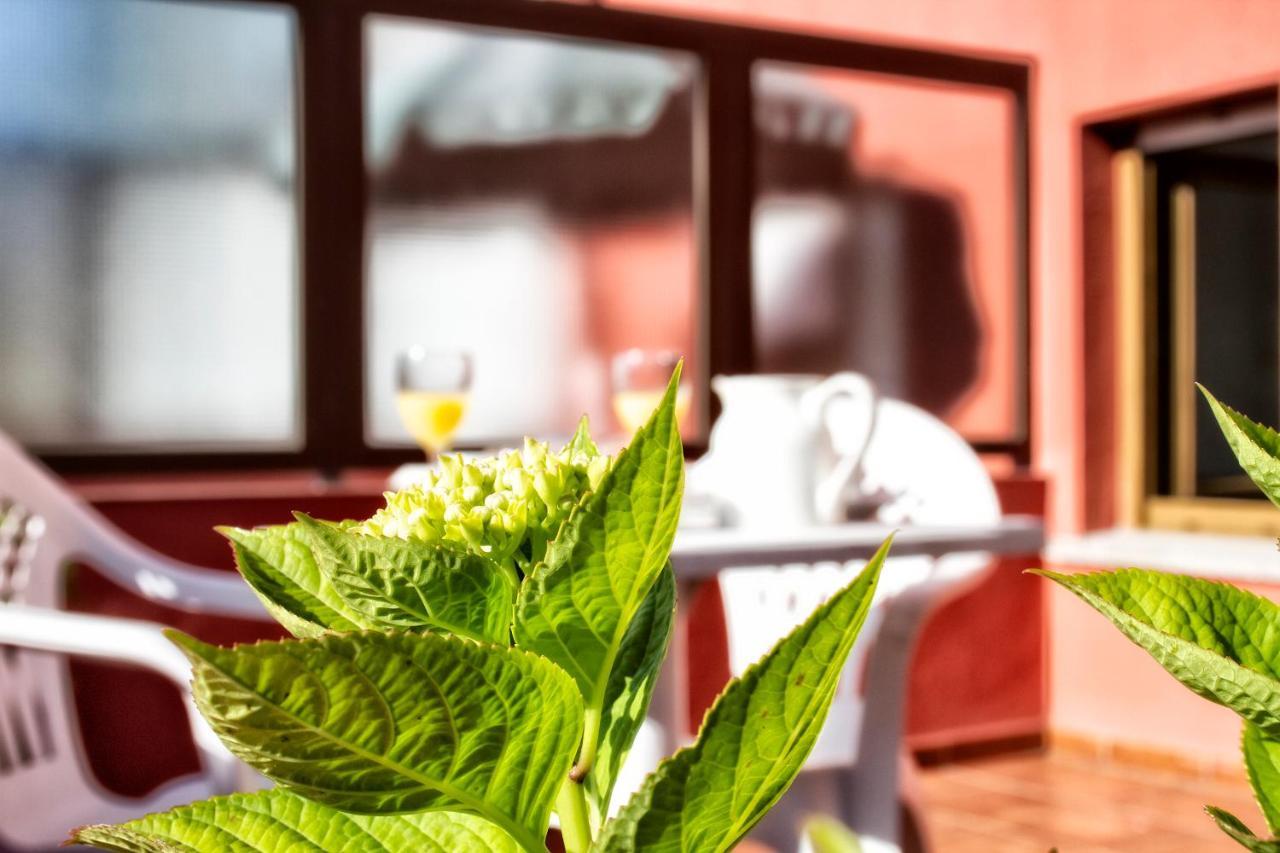 Hotel Covadonga Onís Εξωτερικό φωτογραφία